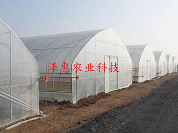 Tunnel  greenhouse