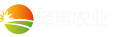 寿光泽惠农业科技有限公司