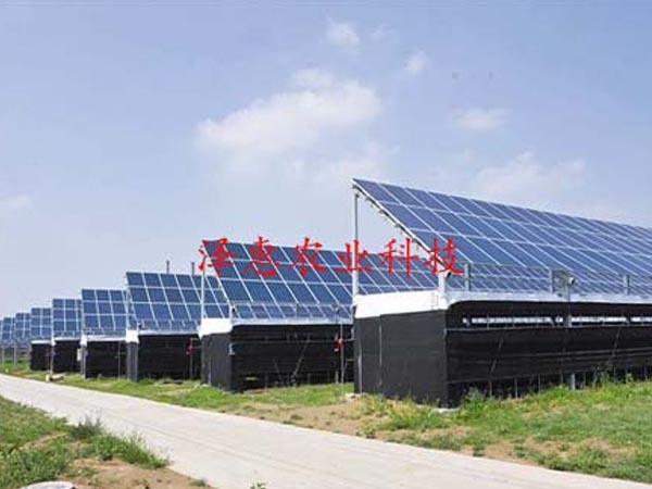 Photovoltaic agriculture