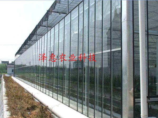 Glass greenhouse