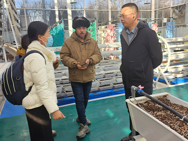 Greenhouse skeleton processing